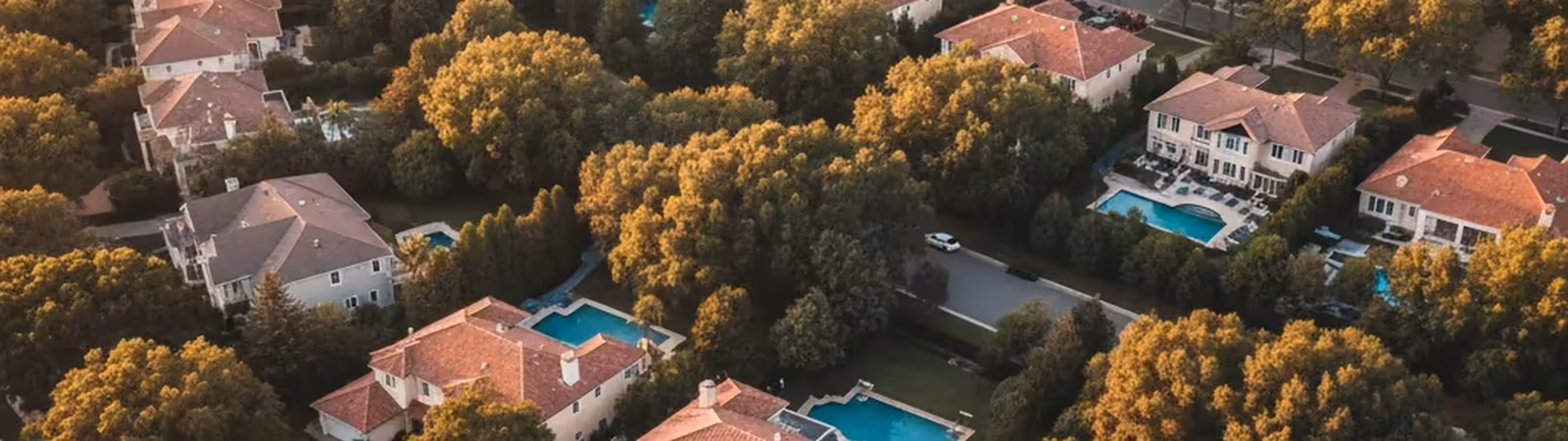 Aerial view of a leafy South African suburb at golden hour