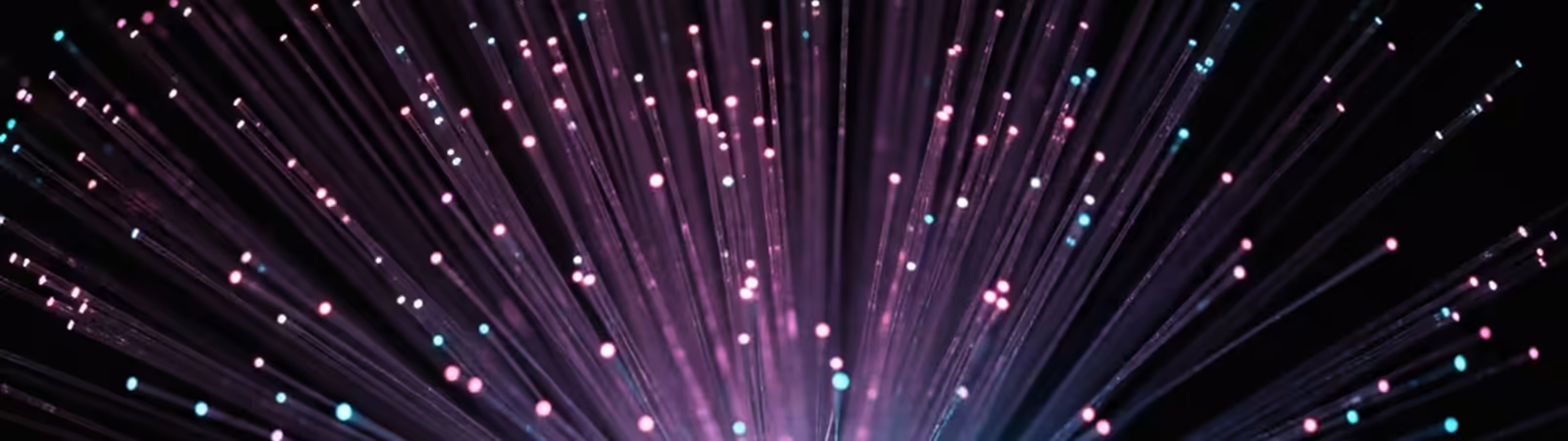 Macro of glowing fibre optic strands